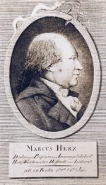 Ovaler Kupferstich, Mann mit schütterem Haar, Kleidung des 18. Jahrhunderts.