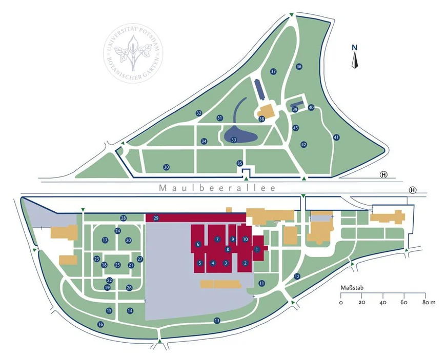 Der Lageplan des Botanischen Gartens der Universität Potsdam