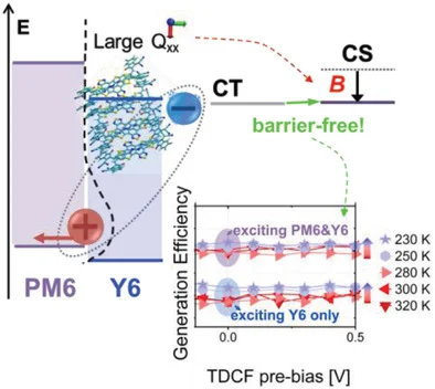 Graphical Abstract for Perdigon Toro, Advanced Materials 2020
