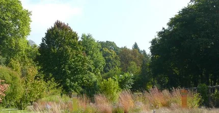 Der Steppen- und Präriegarten