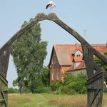 Das Portal der Station in Form zweier sich küssender Kraniche mit einem echten Storch darauf sitzend. Im Hintergrund ist das Stationsgebäude.