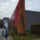 2021 Campus Griebnitzsee im Herbst