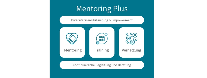 Bildliche Darstellung der 5 Komponenten des Mentoring Plus Programms: Diversitätssensibilisierung und Empowerment, Mentoring, Training und Vernetzung sowie kontinuierliche Belgeitung und Beratung.