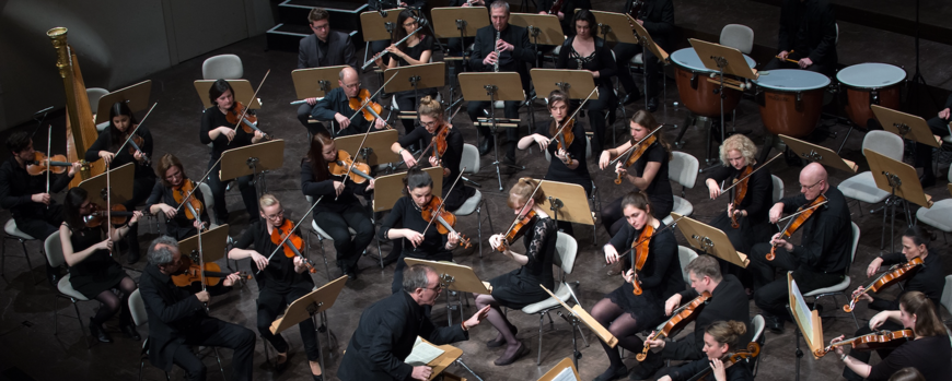 Orchester der Universität Potsdam