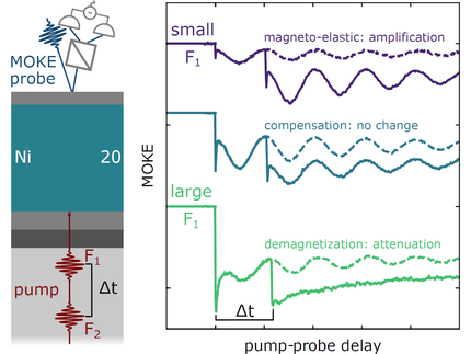 Left: Sketch of the conducted double-pump MOKE experiment and the investigated metallic multilayer. Right: MOKE transients depicting the control of the magnetic precession by the second pump pulse.