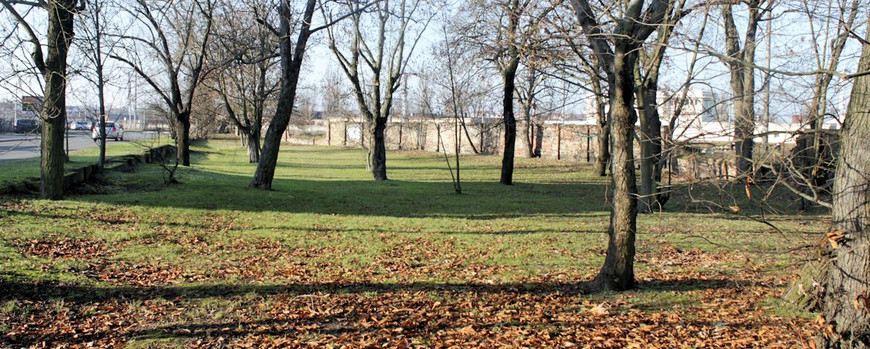 Der jüdische Friedhof in Kostrzyn als Parkanlage