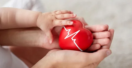 Ein Herzmodell wird von der Hand einer Person gehalten und Kinderhände liegen auf dem Modell