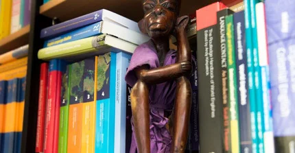 Viele Bücher stehen in einem Regal. (Foto: Karla Fritze)