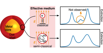 Classical and quantum-mechanical treatment of absorption spectra of TDBC-coated gold nanoparticles.