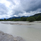 Single willow in the Isar during small summer flood