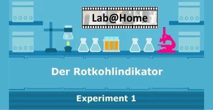 Gezeichnetes Labor mit Schriftzug "Rotkohlindikator - Experiment 1"