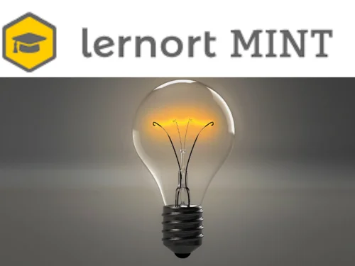 Lernort MINT über Glühlampe auf grauem Grund