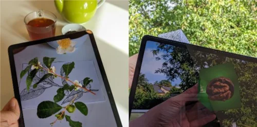 Zwei Tablets mit Augmented Reality Bildern einer Teepflanze und einer Walnuss