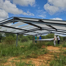 removal of a ranin-out shelter