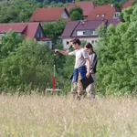 Non-destructive measurement of above ground biomass
