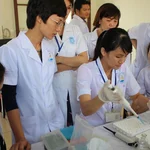 Pipetting the sample