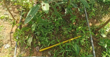 Measurements in Ghana