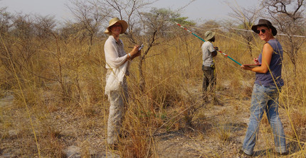 Future Rural Africa Research