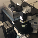 Mikroskop mit langem Arbeitsabstand und Probentisch am Raman-Spektrometer. Der lange Arbeitsabstand wird benötigt, um Untersuchungen unter Druck in Diamantstempelzellen durchführen zu können.