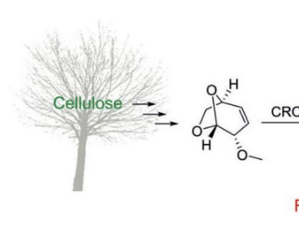 Schematische Darstellung der Polymerisation und stofflichen Umsetzung inklusive Strukturformeln