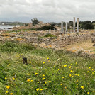 Ruinenfeld im archäologischen Park der antiken Stadt Nora. Foto: Juliane Seip