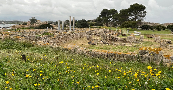 Ruinenfeld im archäologischen Park der antiken Stadt Nora. Foto: Juliane Seip