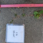 doing measurements