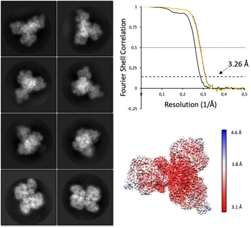 auf der linken Seite sind 8 verschiedene Moleküle als Röntgenbilder dargestellt und rechts ein Diagramm, was die Größe von Molekülen zeigt unten ein schematisch dargestelltes Molekül mit Größenangabe in Angström