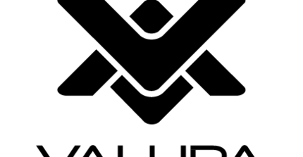 Valupa Logo