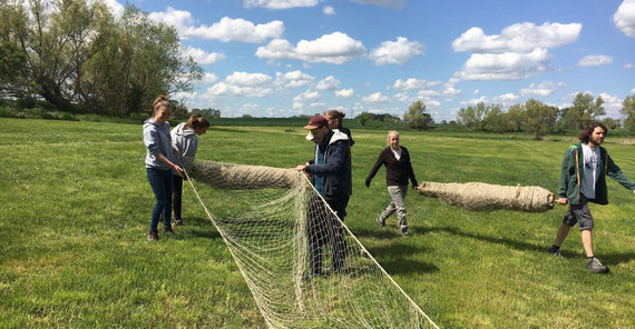 Aufbau der Stellnetze im AgroScapeLab Quillow, um Feldhasen zu fangen und diese mit GPS-Halsbändern auszustatten. | Foto: Kidan Patanant