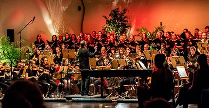 Konzert im Nikolaisaal