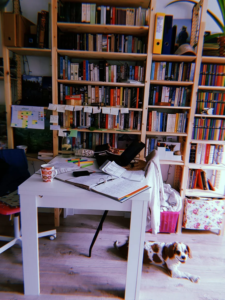 Ein großes Bücherregeal voller Ordner und bunten Büchern ist mit vielen kleinen Notizsetteln und einem Stundenplan versehen. Davor steht ein sChreibtisch auf dem Laptiop und Schreibutensilien angeordnet sind. unter dem Schreibtisch liegt ein braun weiß gescheckter freundlicher Hund
