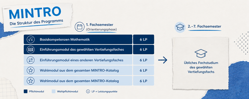 Das Bild zeigt sdie STudienstruktur für das 1. Fachsemester des Orientierungsprogramms MINTRO bestehend aus zwei Pflichtmodulen und drei Wahlpflichtmodulen an.