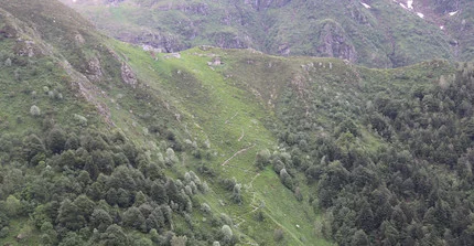 Bergige Waldlandschaft in den italienischen Alpen.