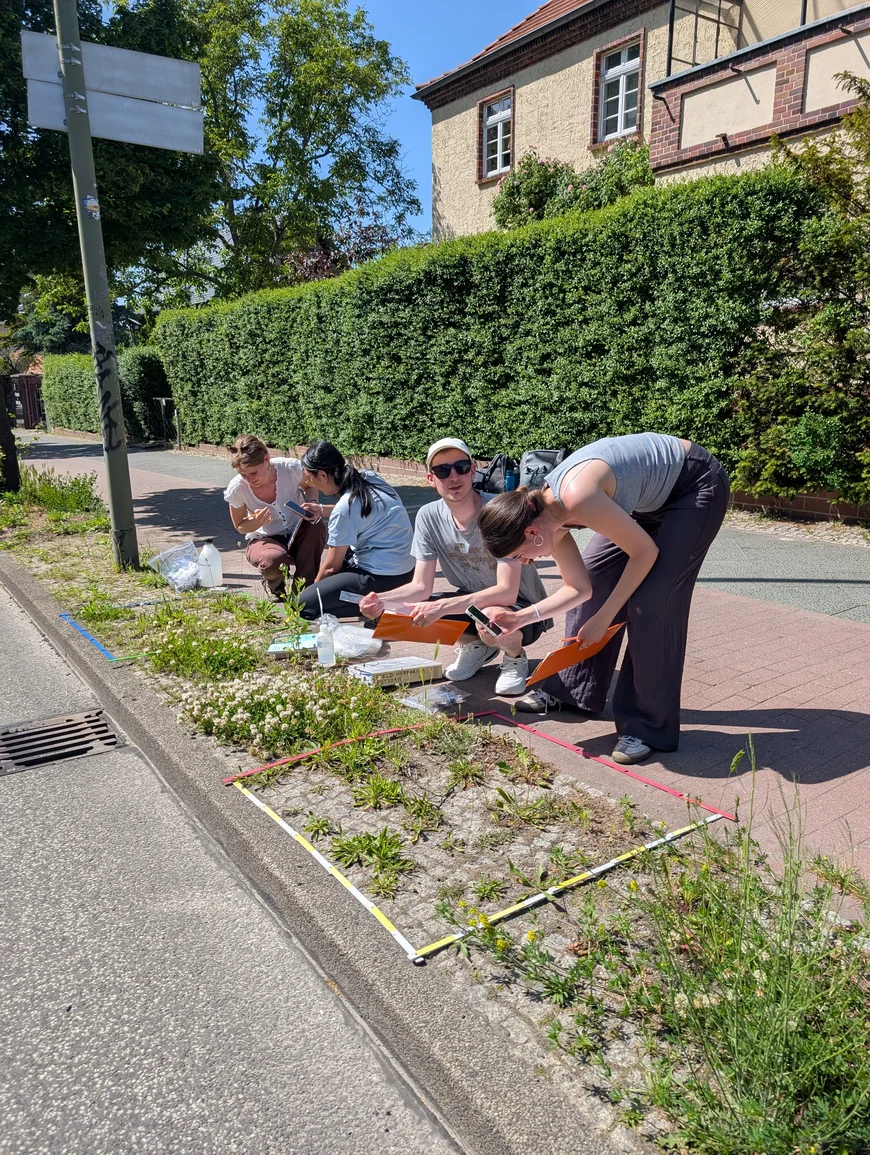 students doing fieldwork on the sidewalk next to the side of the road