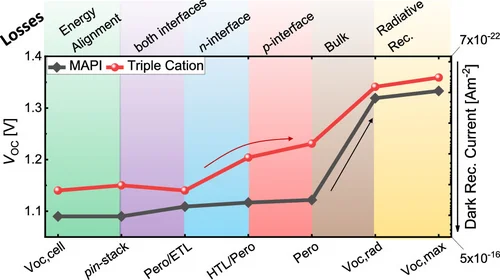 Graphical Abstract for Zhang ACS Ami 2020