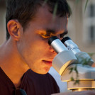 Student working with microscope