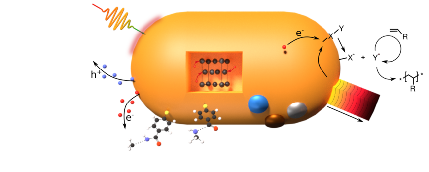 Sketch depicting all central scientific questions around a metallic nanoparticle
