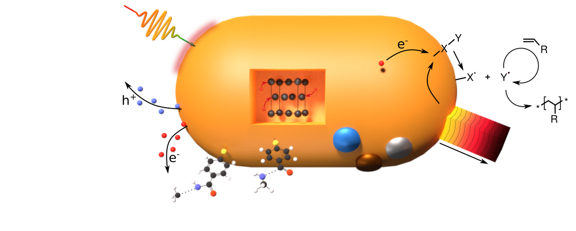 Sketch depicting all central scientific questions around a metallic nanoparticle - 