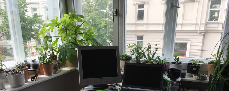 In einer Fensterecke steht ein Schreibtisch. auf der Fensterbank viele Zimmerpflanzen. Der Schreibtisch ist alt und hat Farbflecken. DArauf steht ein alter 4:3 Bildschirm und ein Laptop. Auf dem SChreibtisch stehen Teekanne und Glas. Auf einem Stuhl vor dem Tisch steht ein alter Tintenstrahdrucker-