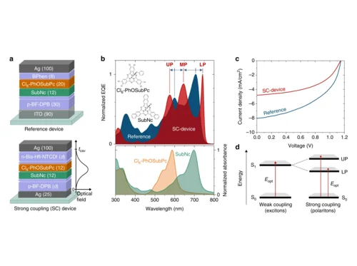 Figure 1 of Nikolis Nature Communications 2019