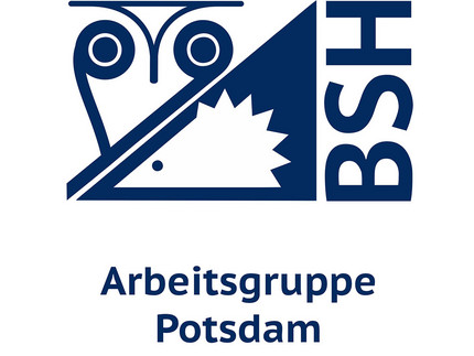 Logo aus blauen Symbolen auf weißem Hintergrund