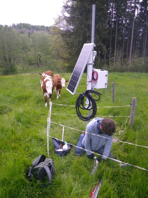 CRNS in the field