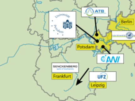 Exzellenz-Cluster Initiative "Individuen-basierte Ökologie"