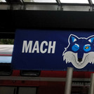 10- Banner "Mach es wir die Wölfe. Komm nach Brandenburg" am Potsdam Hauptbahnhof in Potsdam (Deutsch).