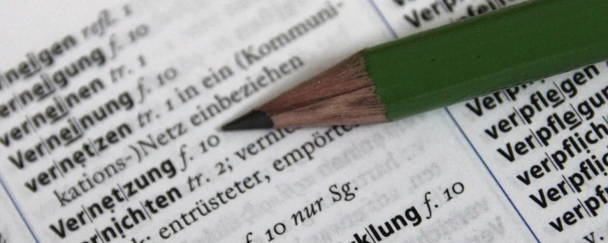 Bleistift zeigt auf das Wort "Vernetzung" im aufgeklappten Wörterbuch
