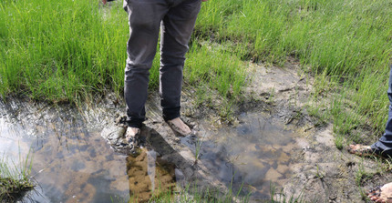 Scientist stands barefoot in wetland