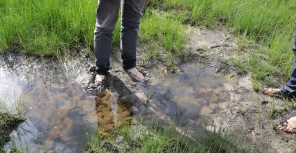 Scientist stands barefoot in wetland