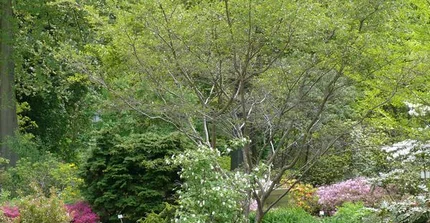 Blick in das Ostasienquartier