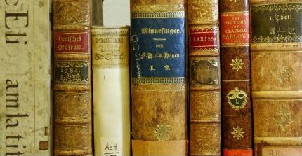 Abgebildet sind Buchrücken alter Bücher.